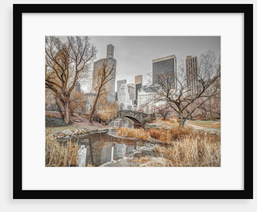 Central park, New York by Assaf Frank